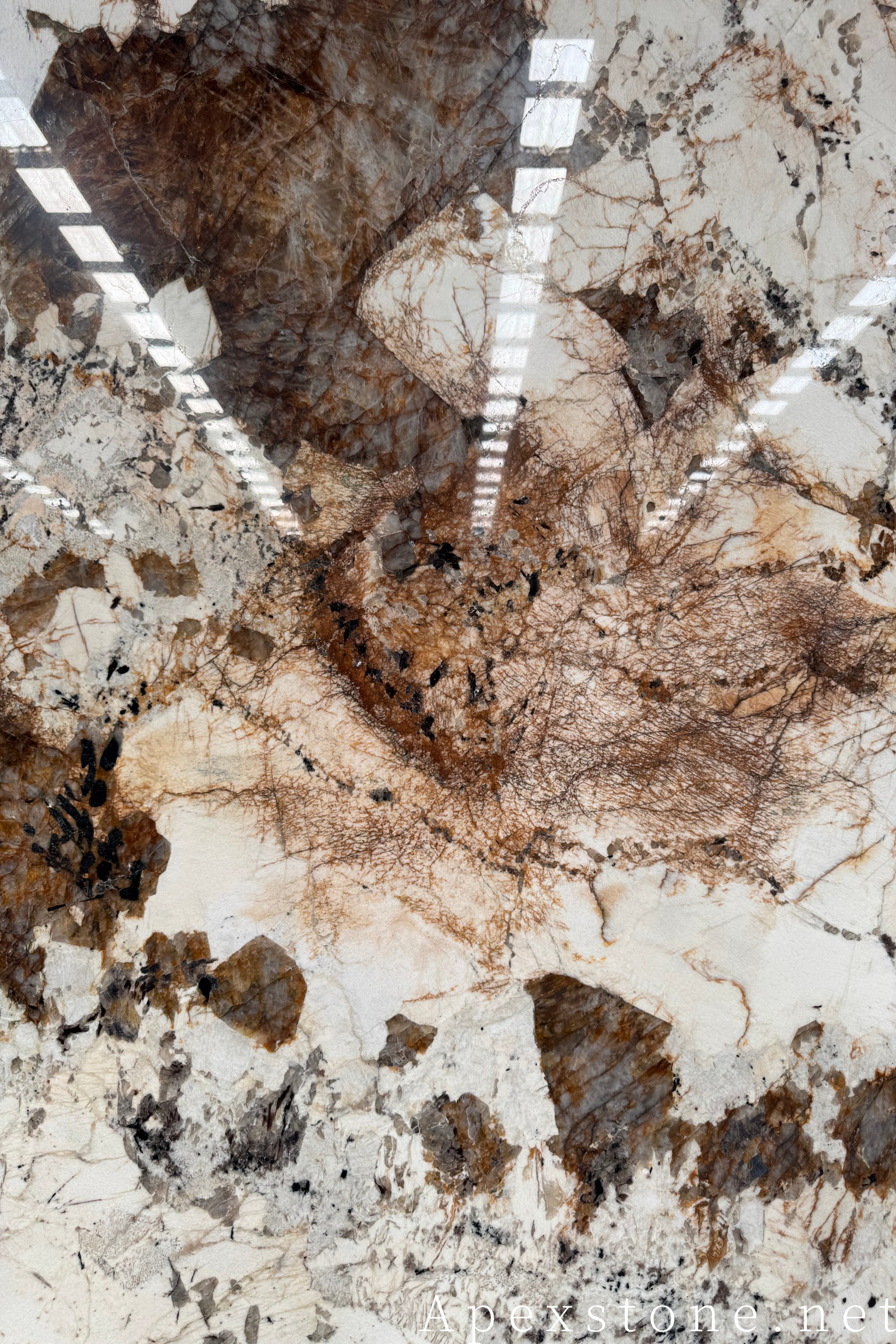 Pandora quartzite slabs selected for kitchen countertops