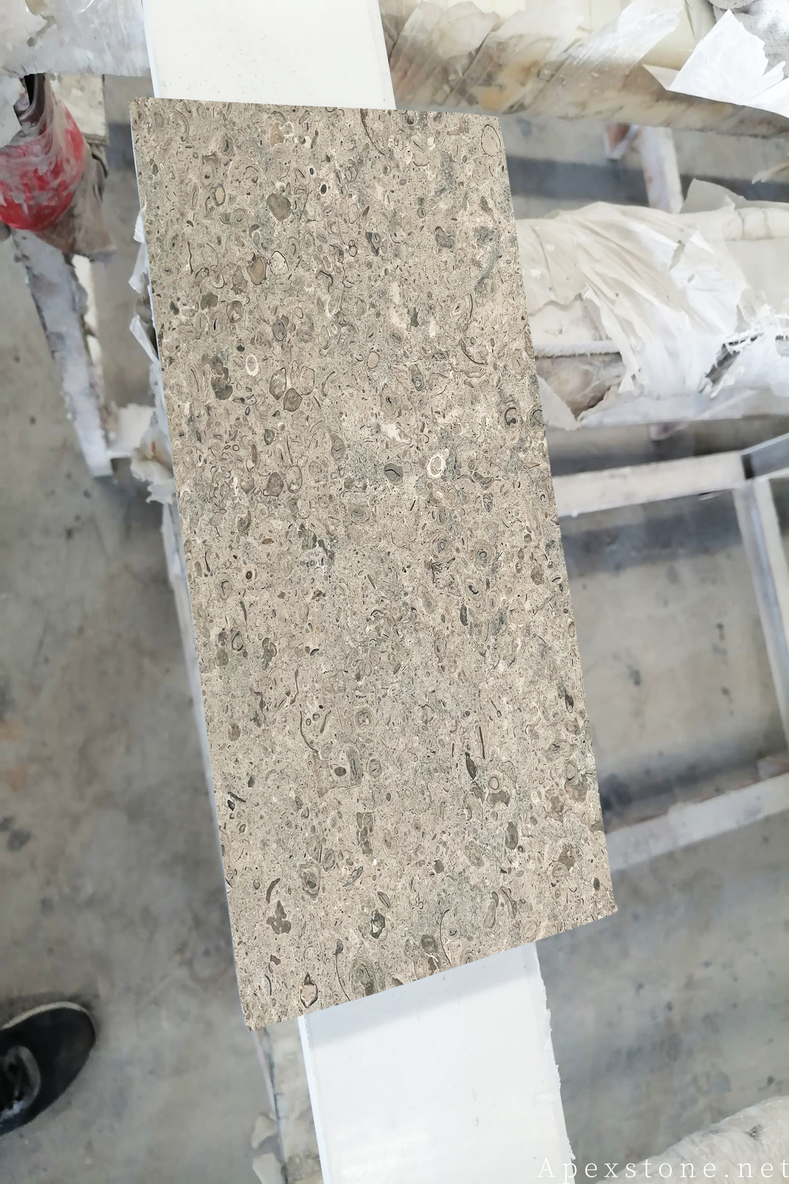 Portuguese Grey Limestone walkway pavestone 184