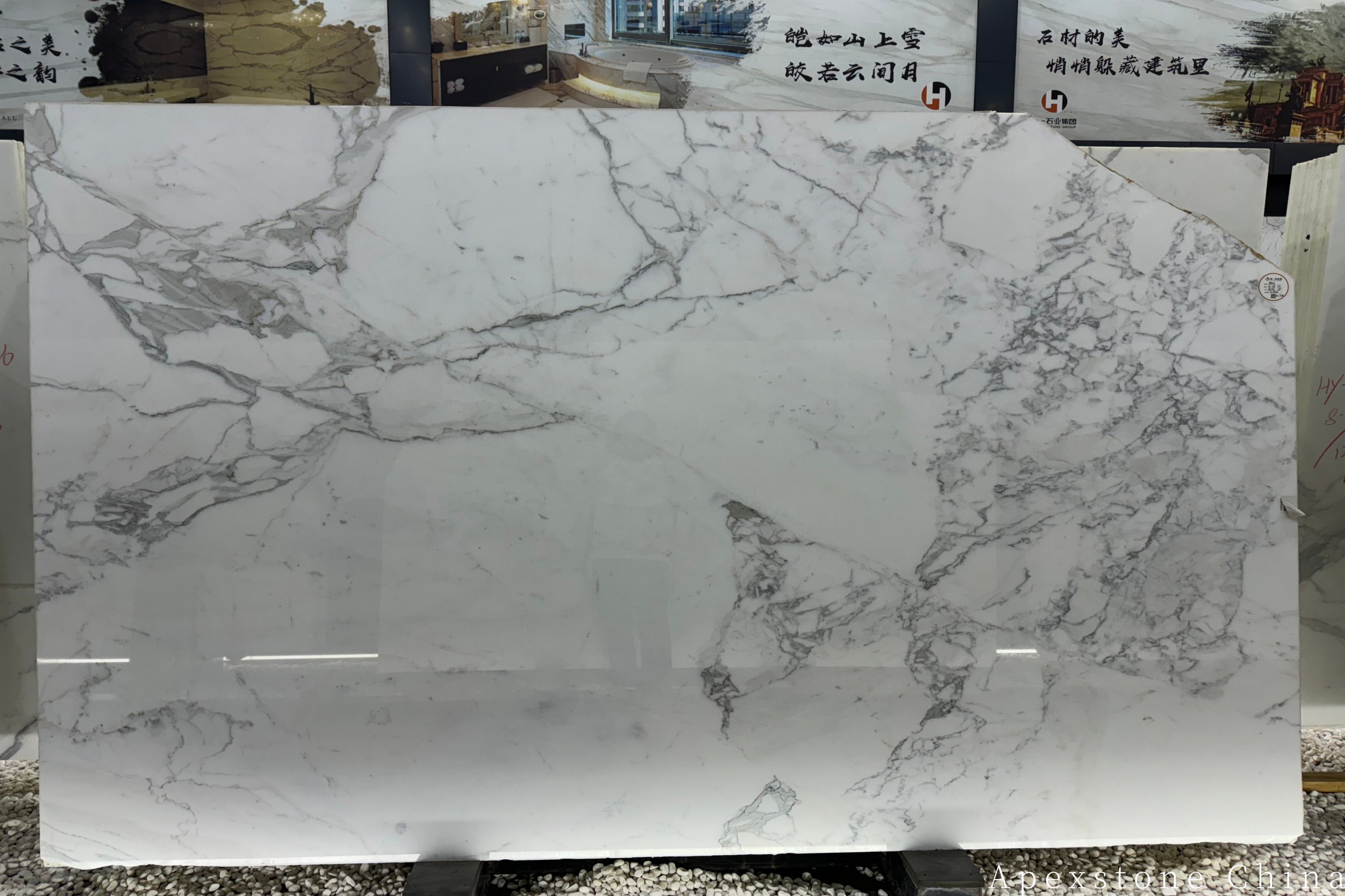 Calacatta White Marble Slab Calacatta White Marble